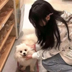 尊龙网址登录官网截图